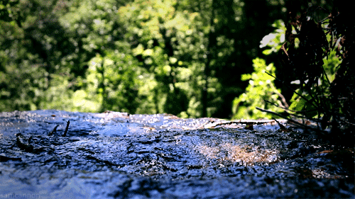 优米官网登录入口网页版